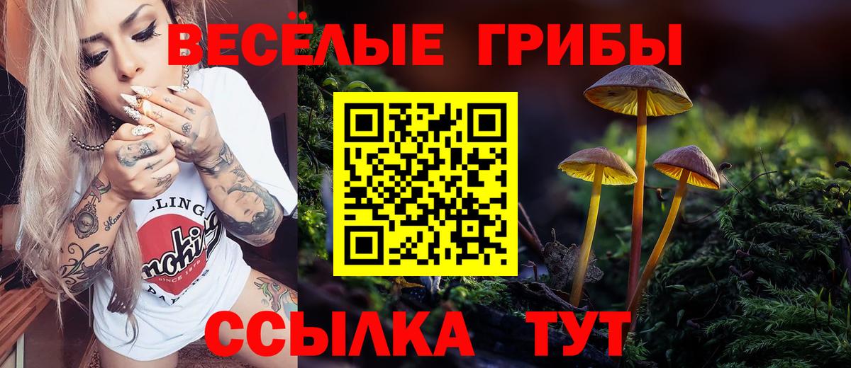 Галлюциногенные грибы GOLDEN TEACHER Алапаевск