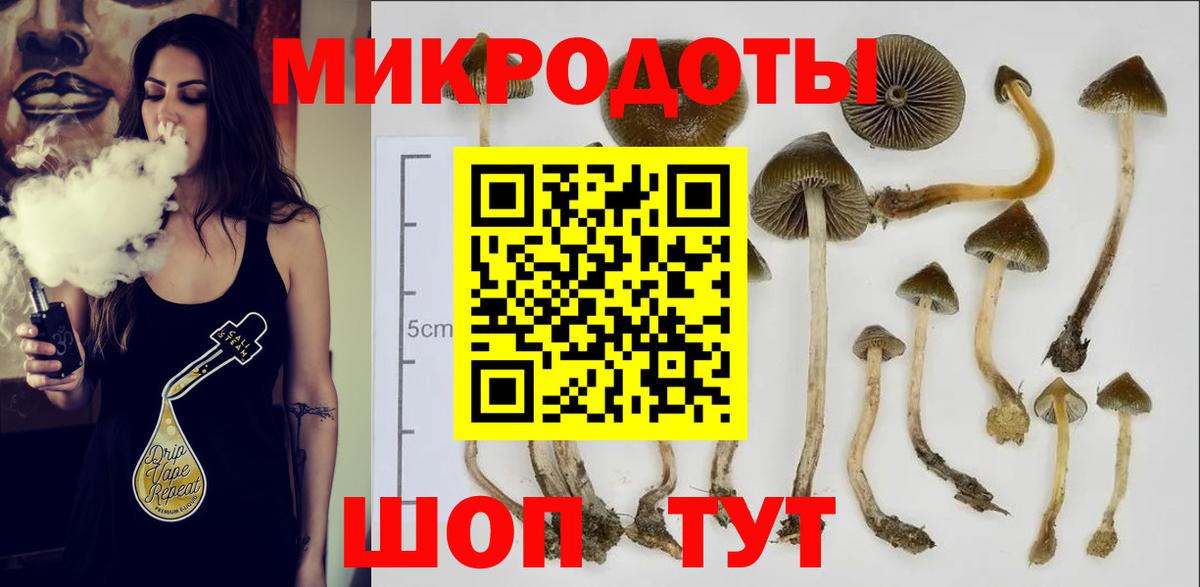 Алапаевск  Псилоцибиновые грибы прущие грибы  Галлюциногенные грибы мухоморы  Вход с VPN 